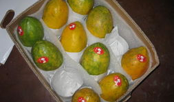 台湾网红吃瓜爆料